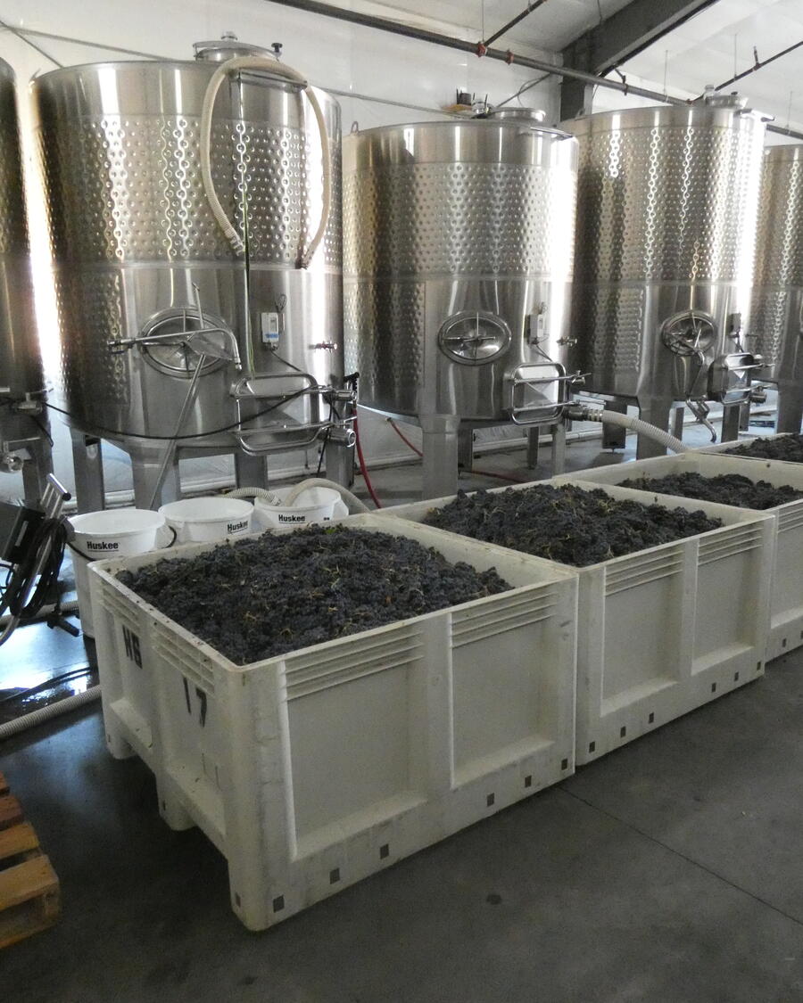 Stainless steel fermentation tanks at our winery